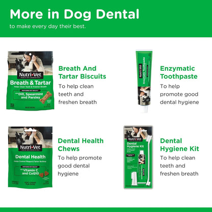Enzymatic Dog Toothpaste, Dog Dental, Chicken Flavor, 2.5Oz | Teeth Cleaning for Dogs, Dog Breath Freshener, Plaque Remover, Non Foaming, Made in USA, Oral Care, Tartar Control