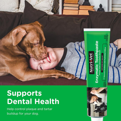 Enzymatic Dog Toothpaste, Dog Dental, Chicken Flavor, 2.5Oz | Teeth Cleaning for Dogs, Dog Breath Freshener, Plaque Remover, Non Foaming, Made in USA, Oral Care, Tartar Control